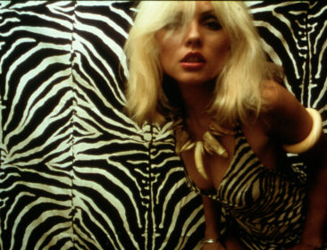 Logeren Bij Lou – Shampoo voor Blondie