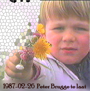 Weeshuis van de Hits 26 februari 1987 (Peter Brugge is te laat)