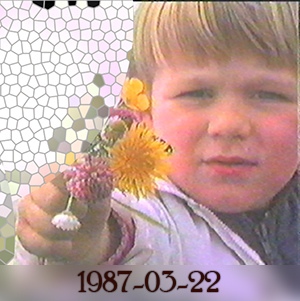 Weeshuis van de Hits 22 maart 1987