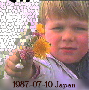 Weeshuis van de Hits 10 juli 1987 (Japanse stranduitzending)