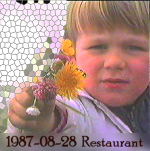 Weeshuis van de Hits 28 augustus 1987 (Restaurant-uitzending)