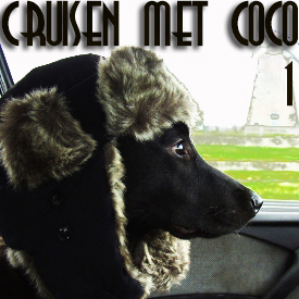 Cruisen met Coco 1 (hond uit raam)