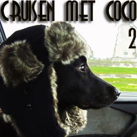 Cruisen met Coco II